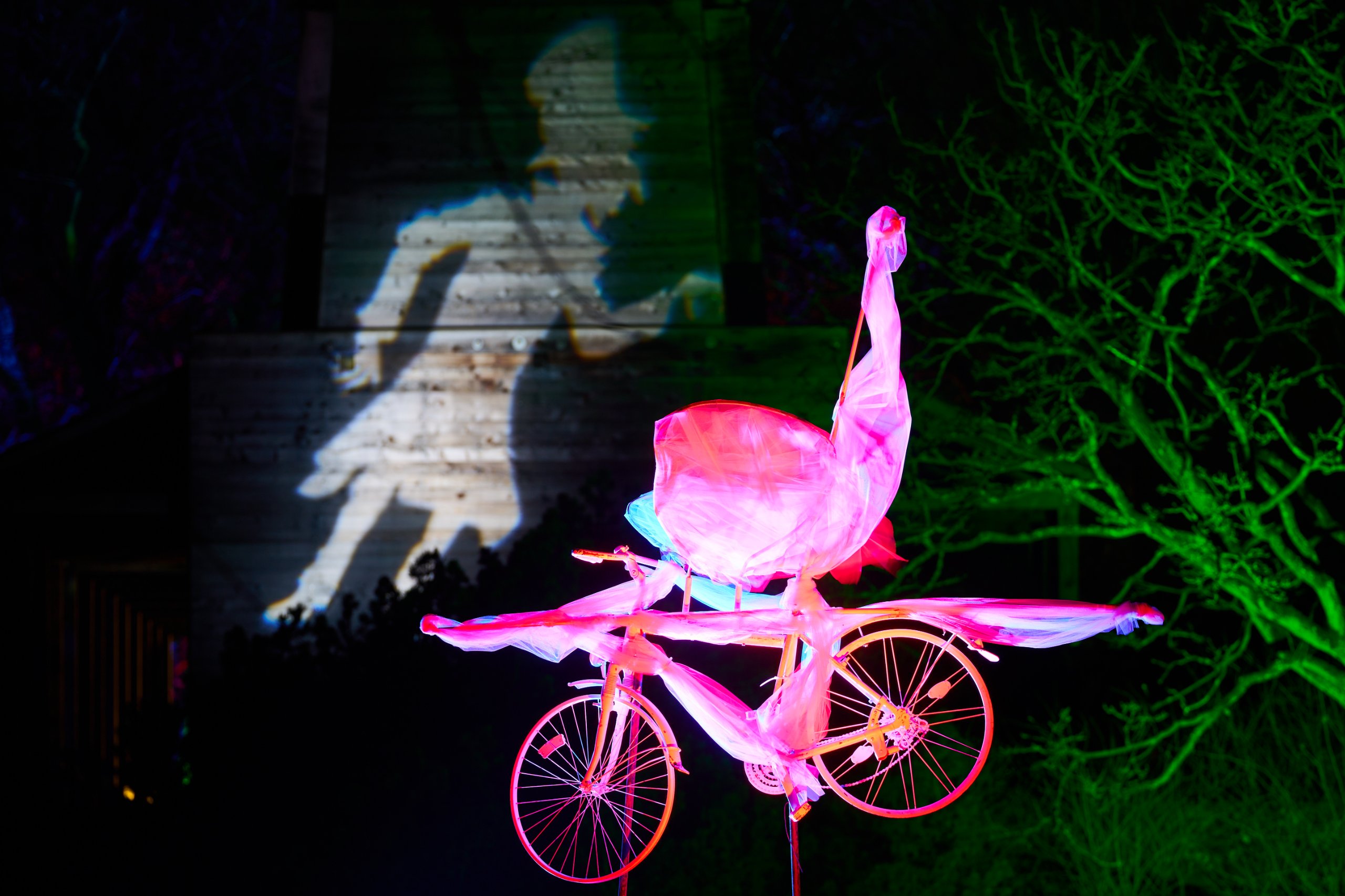 2025 02 04 Parkleuchten 0027